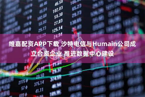 维嘉配资APP下载 沙特电信与Humain公司成立合资企业 推进数据中心建设